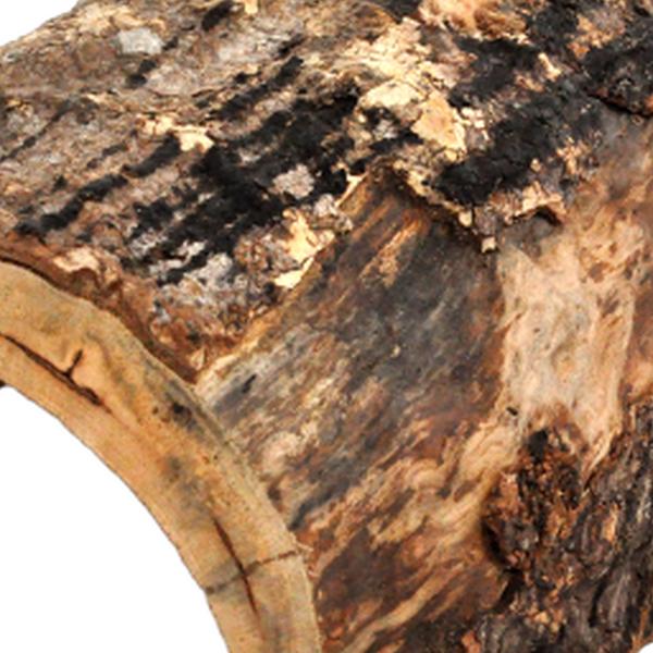 Habistat Aquadistri jungle schuilplaats extra groot Habistat Aquadistri - Aquadistri