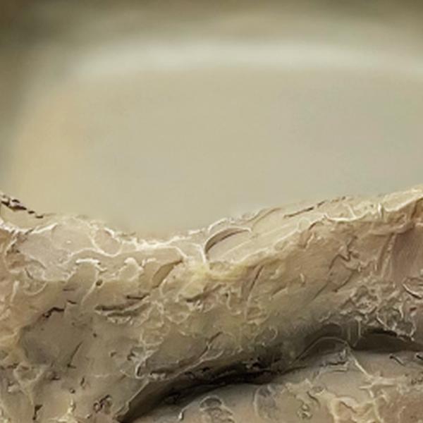 Repto Aquadistri deco waterschaal l Repto Aquadistri - Aquadistri