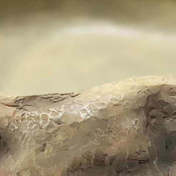 Repto Aquadistri deco waterschaal xl Repto Aquadistri - Aquadistri