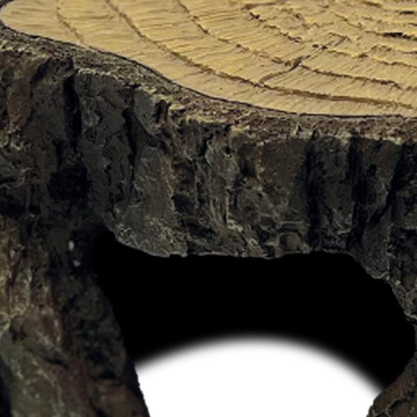 Repto Aquadistri deco trunk l Repto Aquadistri - Aquadistri