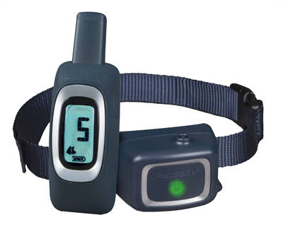 Dogtrainer met spray 300 meter PDT19-16397 PetSafe - Gebr de boon