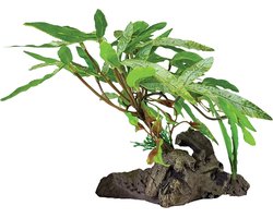 Plant on deco three tip leaf Repto - Repto