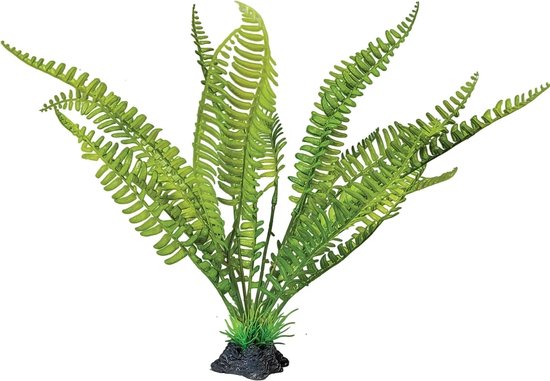 Plant standing fern Repto - Repto