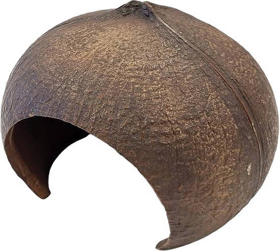 Deco coconut Repto - Repto