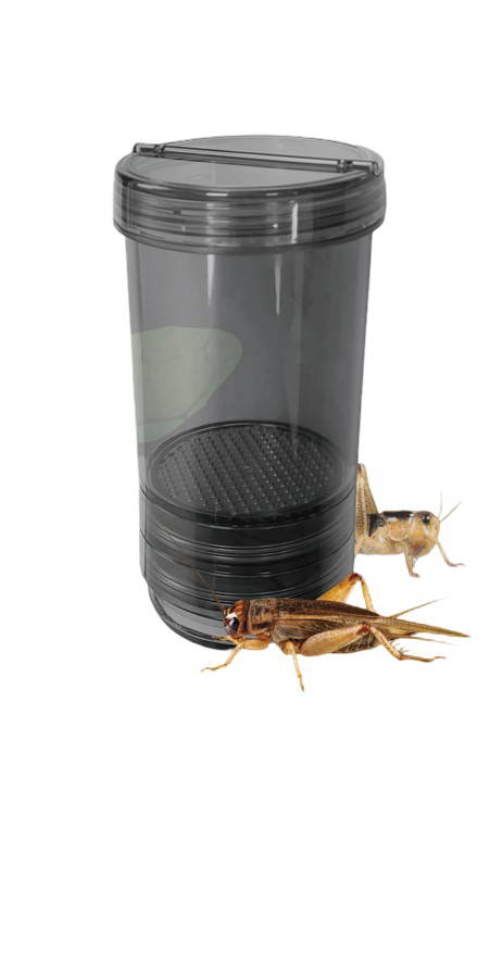 Krekel shaker Repto - Repto