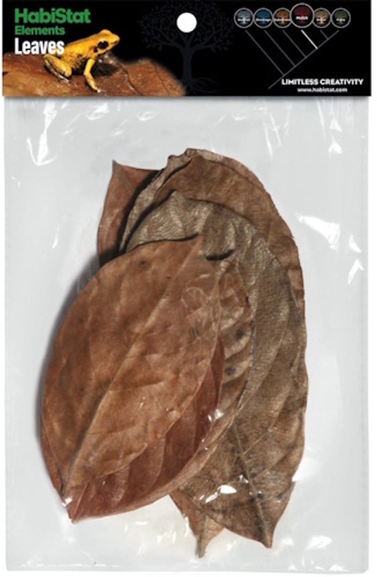 Bladeren jackfruit 10x Habistat - Habistat