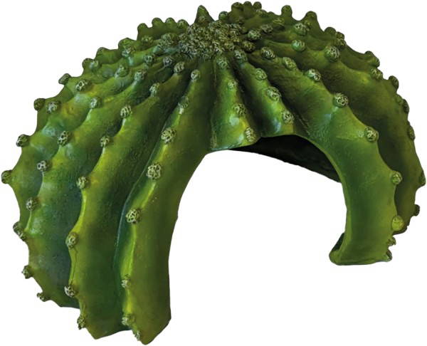 Deco cactus xl Repto - Repto
