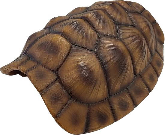 Deco tortoise xl Repto - Repto