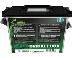 Cricket box l 30 x 15 x 20 cm Repto - Repto