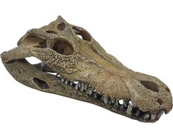 Deco crocodile l Repto - Repto