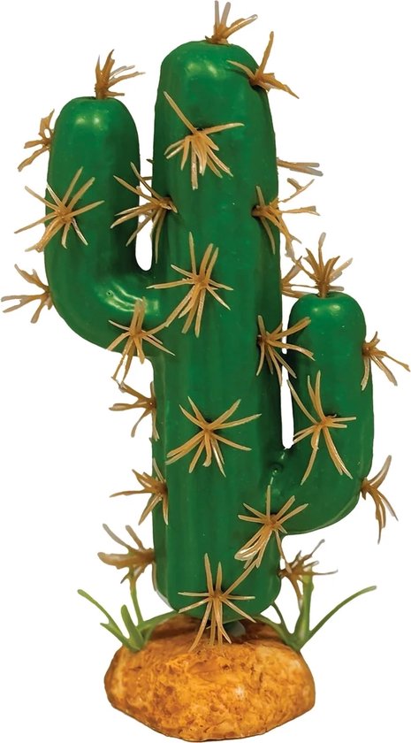 Plant cactus trident xxl Repto - Repto