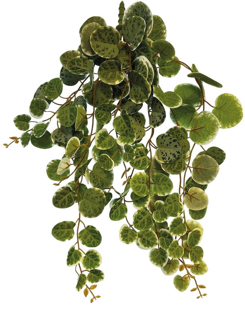 Plant hanging round leaves 46 cm Repto - Repto