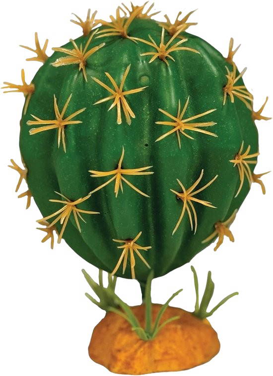 Plant cactus orb Repto - Repto