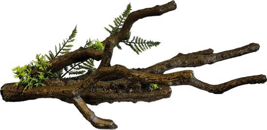 Branch l Repto - Repto