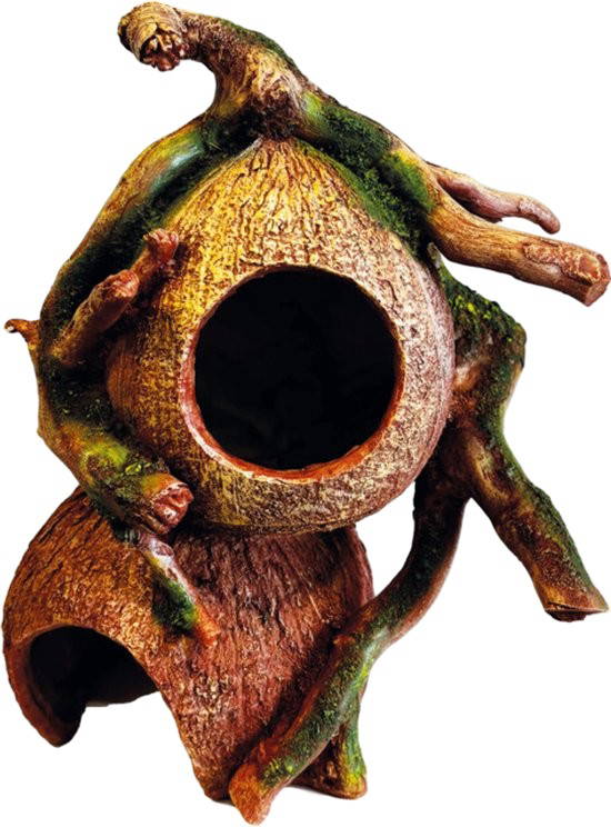 Deco coconut hides Repto - Repto