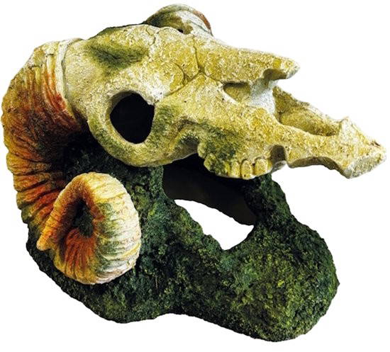 Deco goat skull Repto - Repto