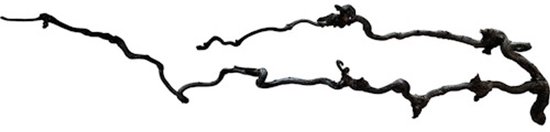 Beard wood 60-80 cm Repto - Repto