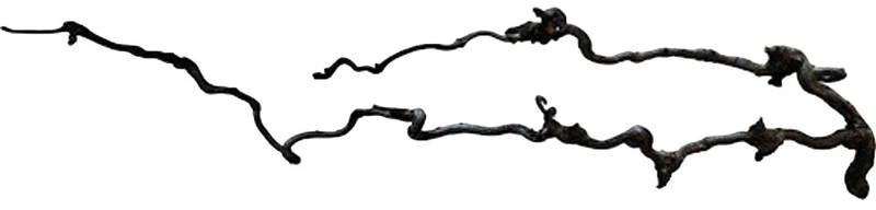 Beard wood 60-80 cm Repto - Repto