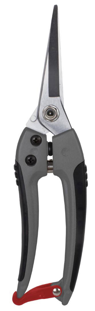 Talen Tools Bloemenschaar blank geslepen premium 21 cm TalenTools - Talentools