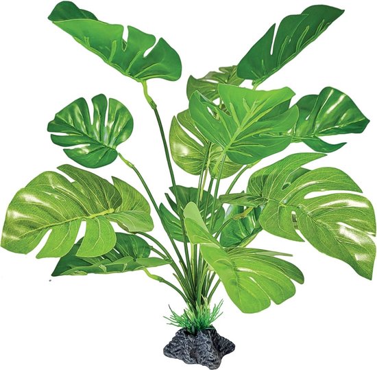 Plant standing monstera Repto - Repto