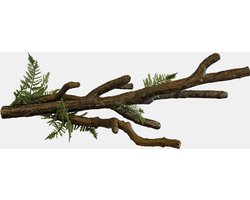 Branch xl Repto - Repto