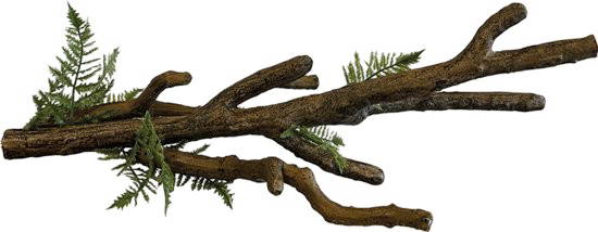 Branch xl Repto - Repto