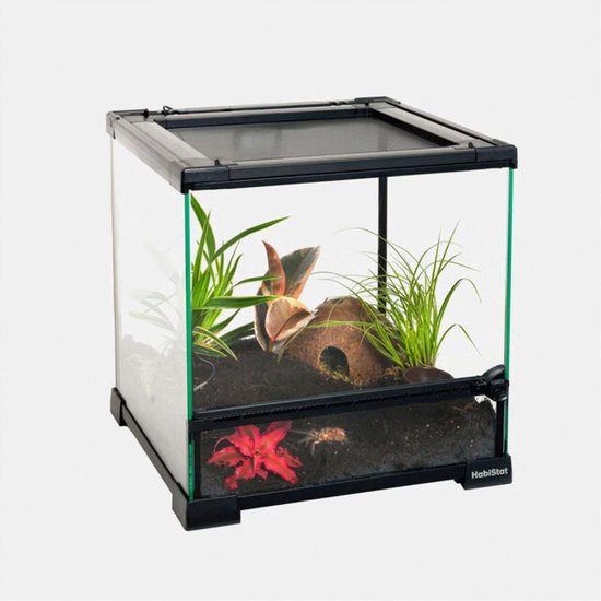Habistat Aquadistri glazen terrarium 30 x 30 x 32 cm Habistat Aquadistri - Aquadistri