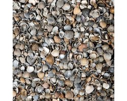 Gardenlux 35 stuks! Schelpen bruin/grijs 8/16 mm 17 liter -