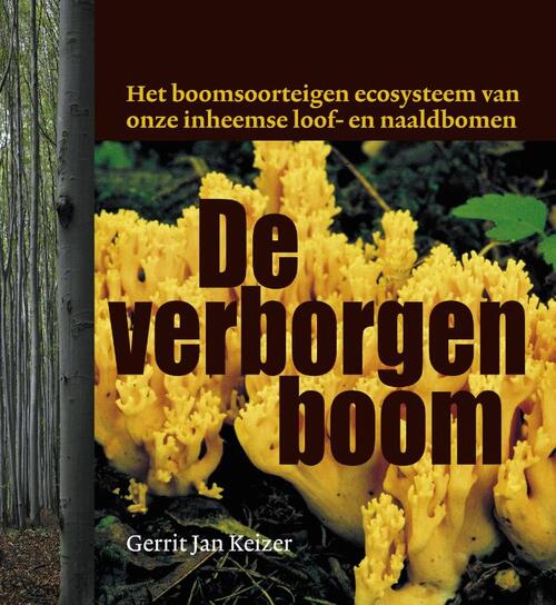 A3 Boeken De verborgen boom