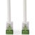Nedis patch cable - 100 m - white - Wit - 100 meter
