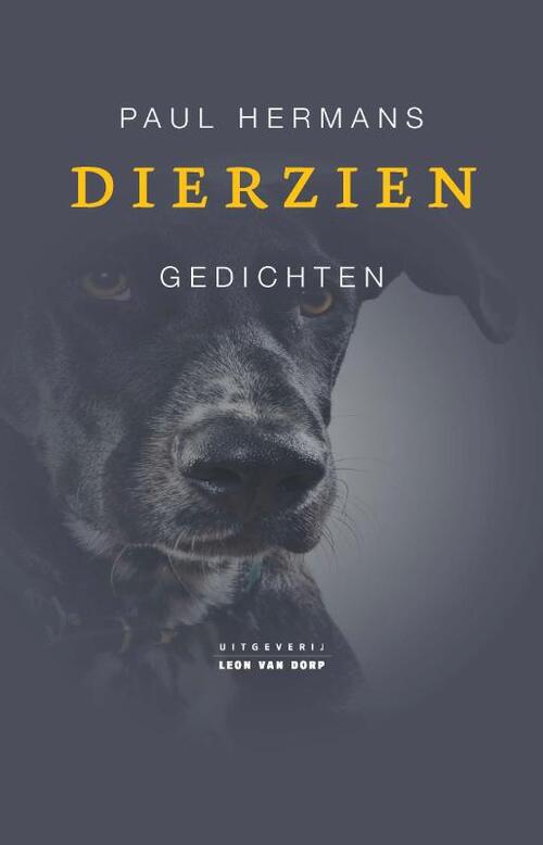 Dierzien