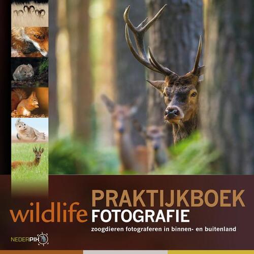 Praktijkboek wildlife fotografie