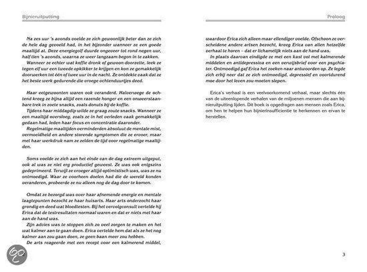 Succesboeken Bijnieruitputting