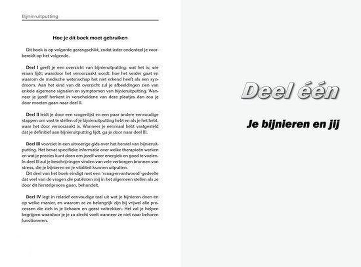 Succesboeken Bijnieruitputting