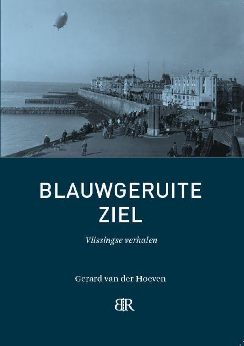 geruite ziel - Blauw