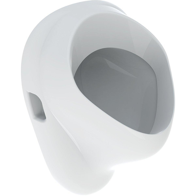 Geberit Geberit Bastia Urinoir - achter inlaat - afvoer achter - wit 502.995.00.1