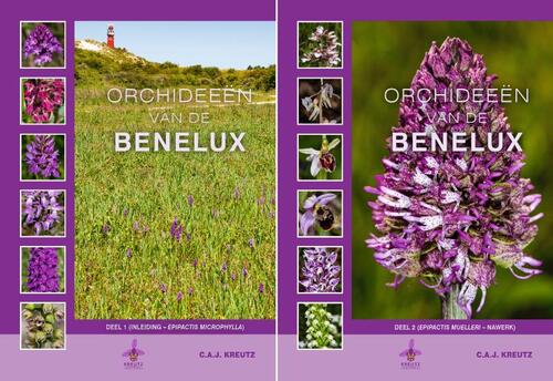 Kreutz Publishers Orchideeën van de Benelux