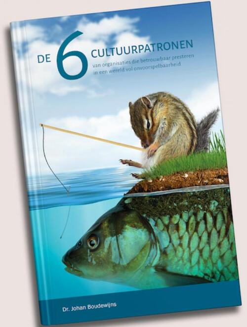 Boudewijns & Roemen Groep De 6 cultuurpatronen