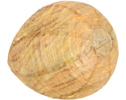 Warentuin Mix Wespenverschrikker d22h28cm -