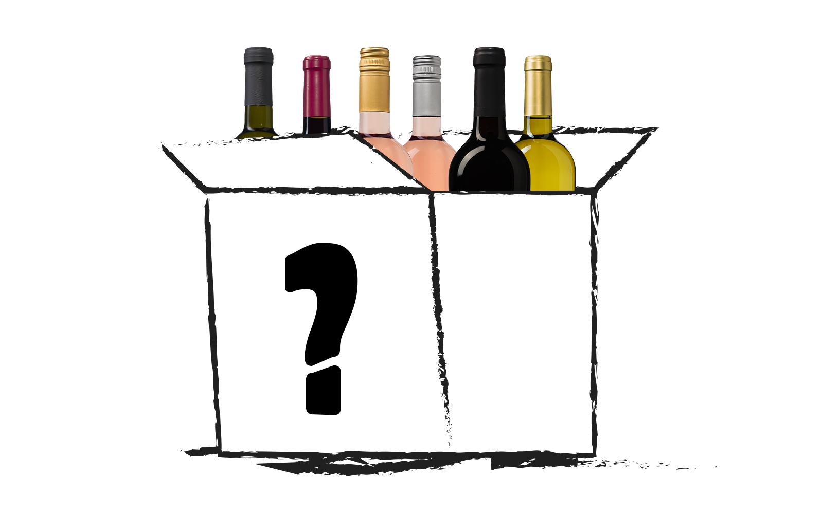 Wijnvoordeel Surprise Wijnpakket Mix