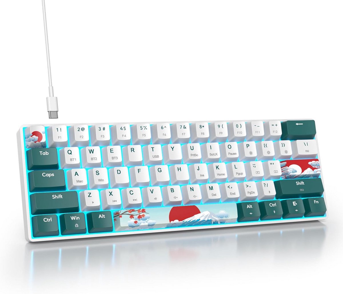 Draadloos Mechanisch Gaming Toetsenbord 60% met RGB, Bluetooth & USB-C