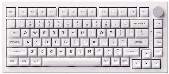 AKKO 5075B Plus Shine - Through RGB Draadloos Hotswap Mechanisch Gaming Toetsenbord