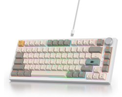 Compact Mechanisch Gasket Gamingtoetsenbord met RGB Achtergrondverlichting - 75% Hot-swappable
