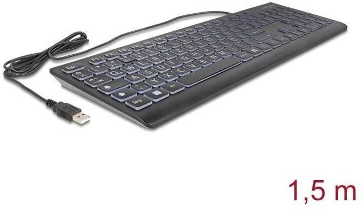 DeLOCK 12170 toetsenbord Universeel USB QWERTZ Duits Zwart