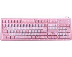 Stijlvol Bedraad USB Toetsenbord Ontwerp voor Thuisgebruik en Kantoor