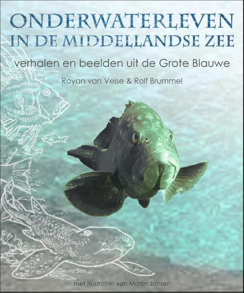 Ecritures Onderwaterleven in de Middellandse zee