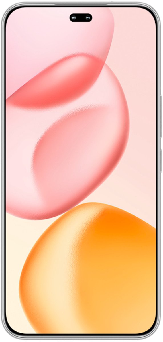 Honor 400 Pro 17 cm (6.7") MagicOS 9.0 5G 12 GB 512 GB 5300 mAh Grijs