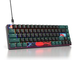 Mechanisch Gaming Toetsenbord 65% Compact met RGB Verlichting QWERTY
