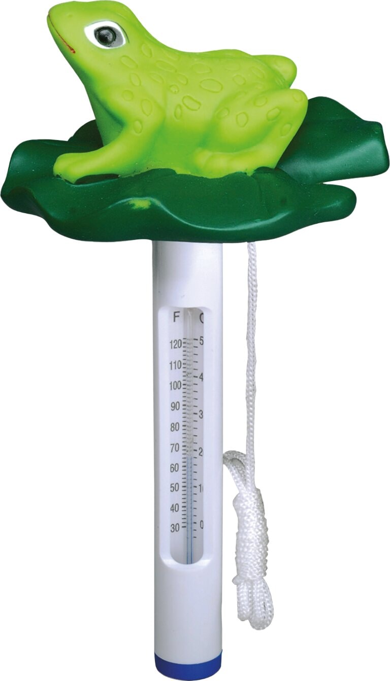 Bsi Thermometer met figuur Kikker 1 stuk -