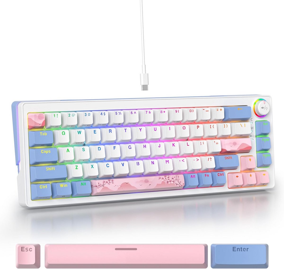 75% Mechanisch Gaming Toetsenbord Hot Swappable - Compact RGB Toetsenbord voor Gamers